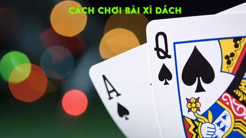 Cách áp dụng chiến thuật dằn dơ trong xì dách hiệu quả 