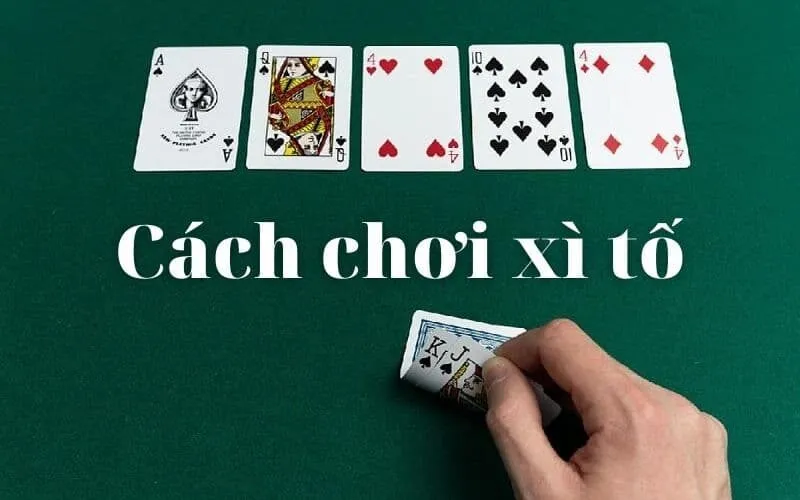 Hướng Dẫn Cách Chơi Xì Tố Chi Tiết Từ A – Z Cho Tân Thủ