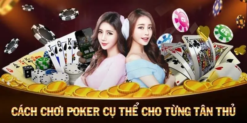 Cách đánh poker chi tiết từng vòng cược cho tân thủ