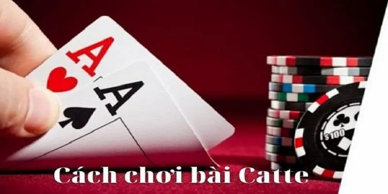 Hướng dẫn cách chơi Catte chi tiết cho tân thủ