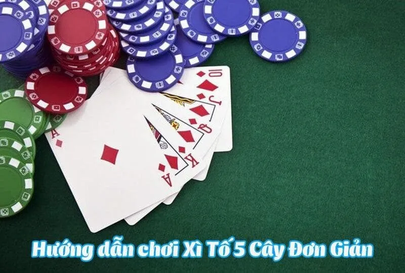 Hướng dẫn cách chơi xì tố 5 cây đơn giản và dễ hiểu