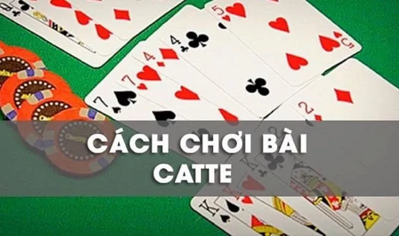 Luật chơi bài Catte cơ bản cần nắm được