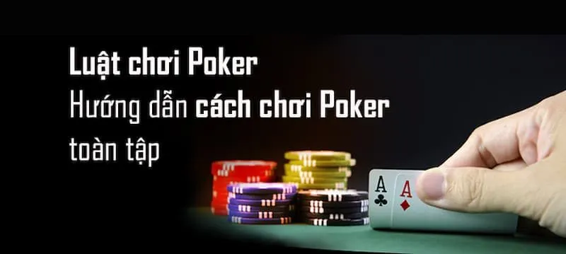 Luật Poker 5 Lá & Cách Chơi Chi Tiết Cho Người Mới Bắt Đầu