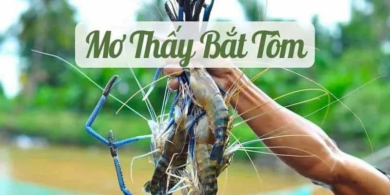 Mơ thấy tôm đánh con gì - mơ thấy bắt tôm nên đánh đề số nào