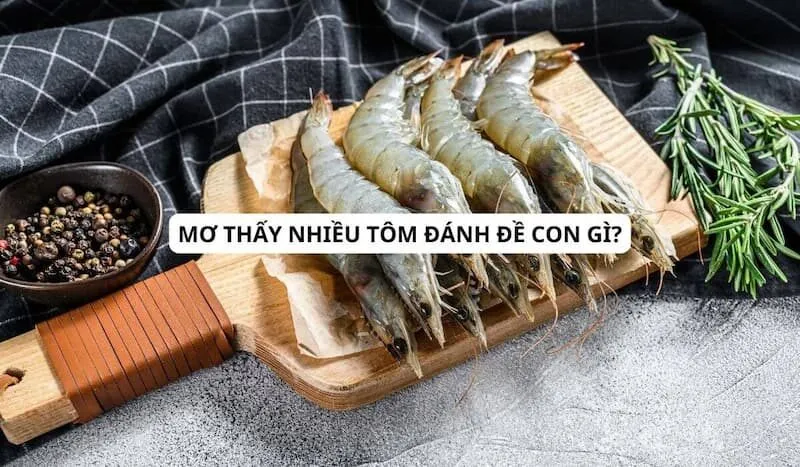 Mơ thấy tôm đánh con gì - mơ thấy tôm sống tươi roi rói