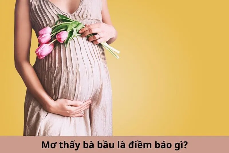 Nằm chiêm bao thấy mình thăm một bà bầu