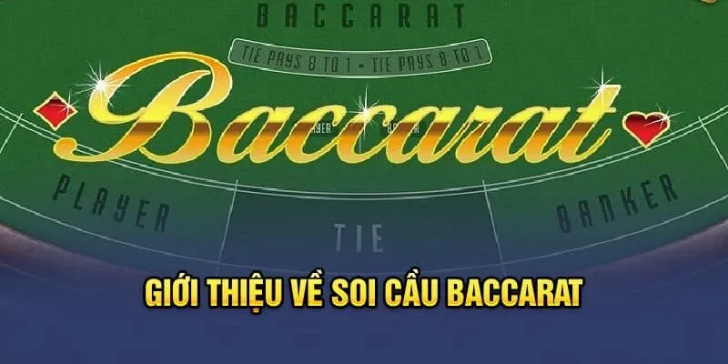 Bật Mí 5+ Phương Pháp Soi Cầu Baccarat Hiệu Quả Đến 99%