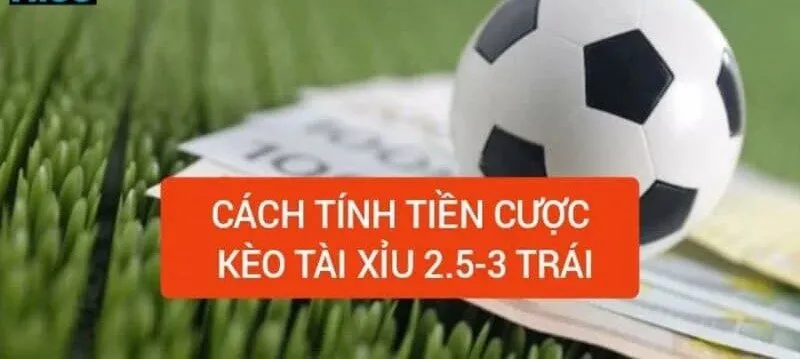 Ví dụ minh họa cách tính tiền cược kèo tài xỉu 2.5-3 là gì